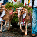 Fiestas de las mondas