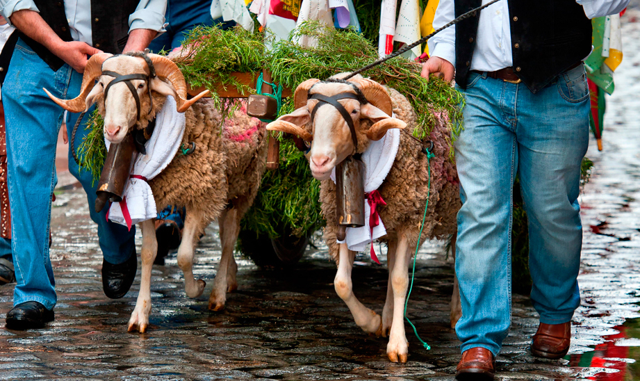 Fiestas de las mondas