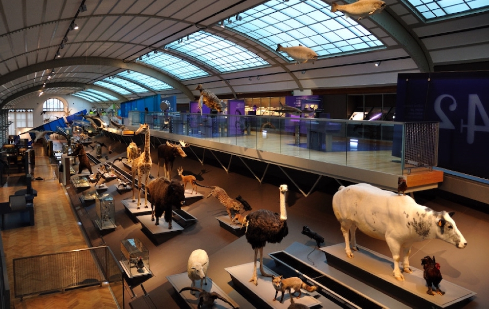 Museo Nacional de Ciencias Naturales Madrid