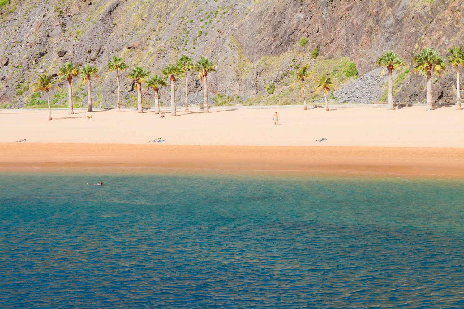 Palmeras en Playa de las Teresitas