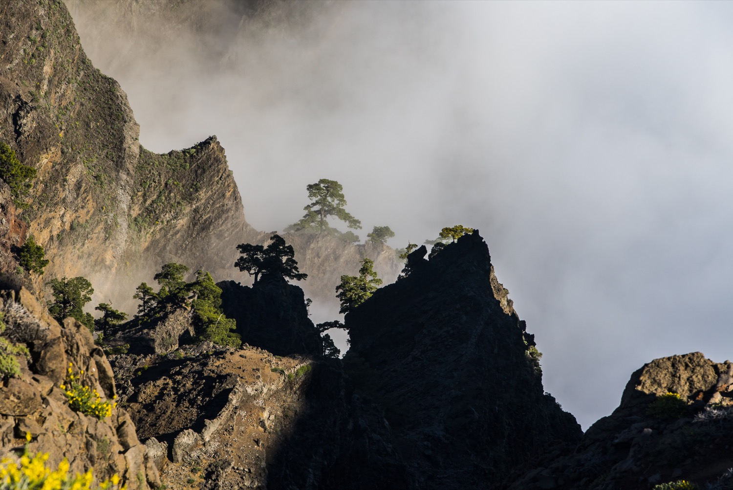 Vistas desde la Caldera de Taburiente