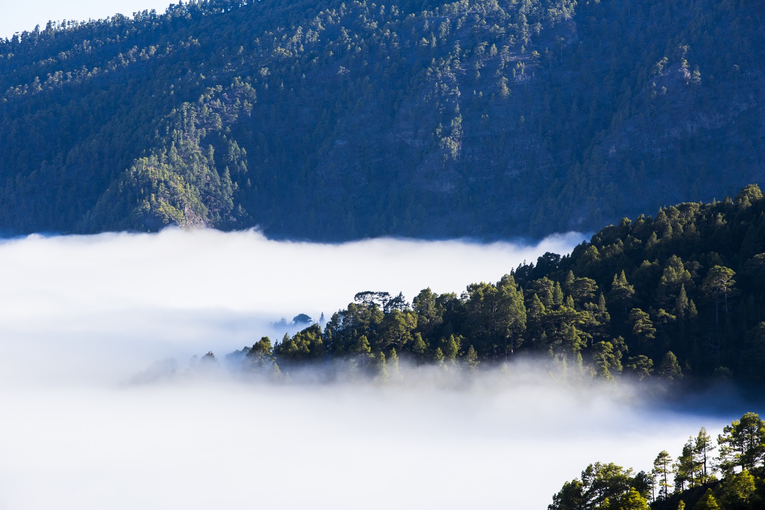 nubes en la caldera de taburiente