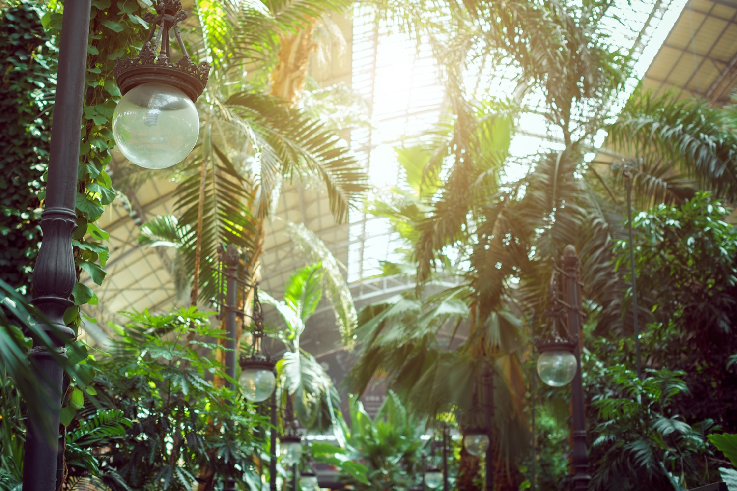 jardines de atocha