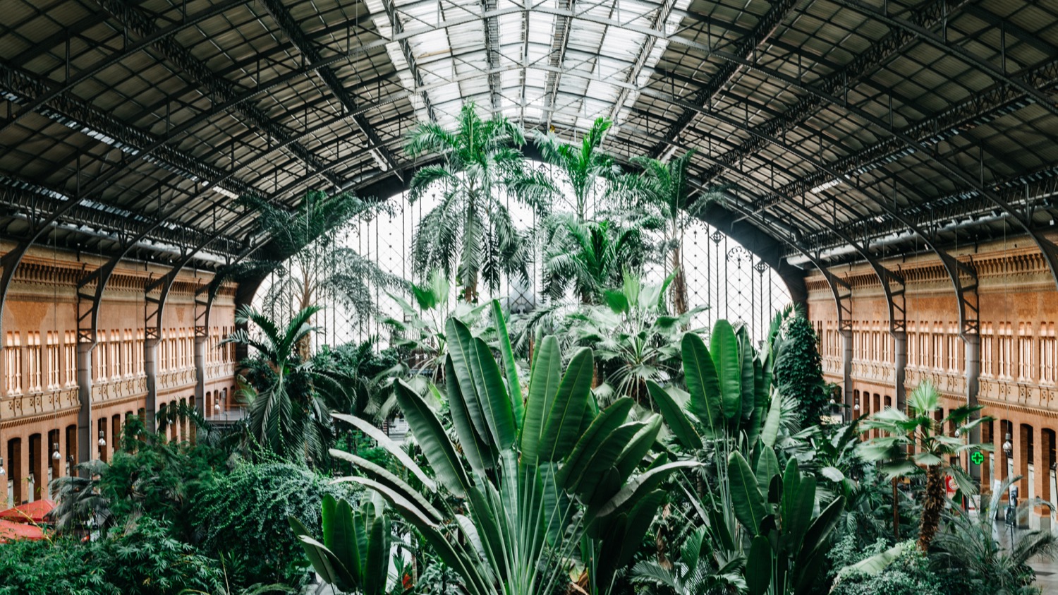 palmeras de la estación de atocha