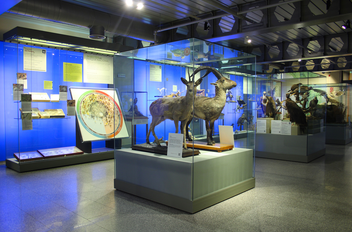 exposicion en el museo nacional de ciencias naturales