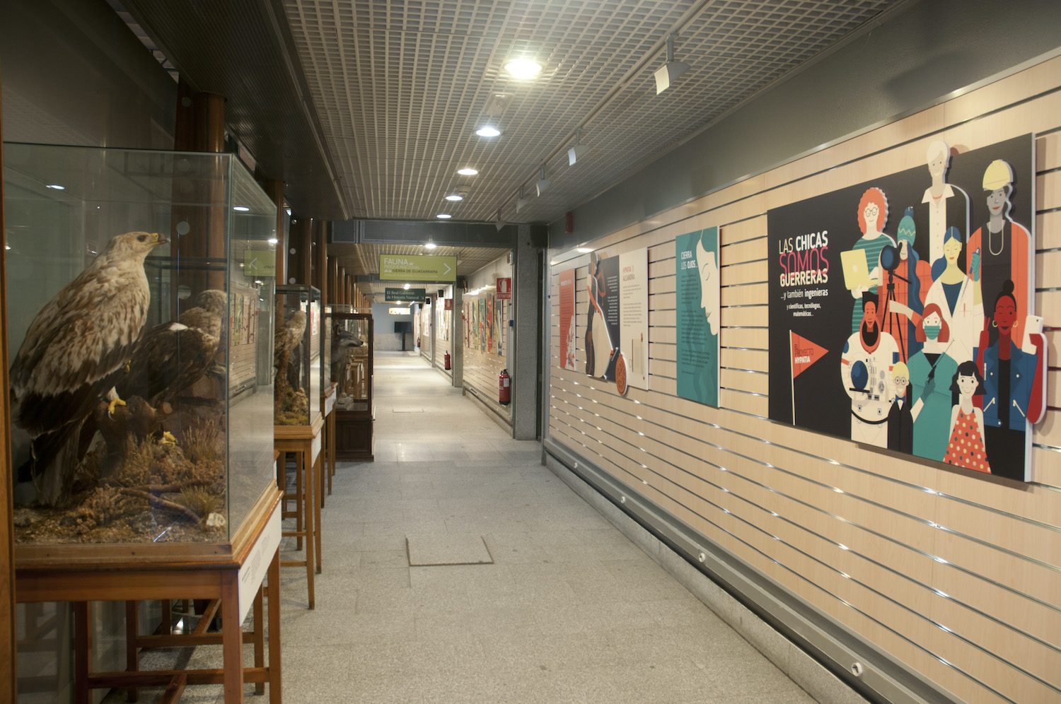 interior del museo nacional de ciencias naturales