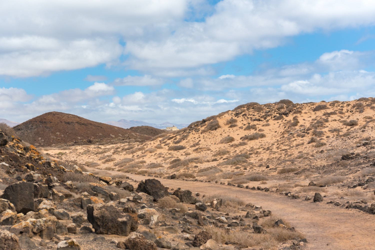 Sendero en Isla de Lobos