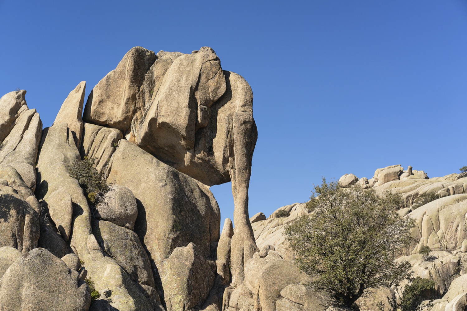 Piedra con forma de elefante en la pedriza