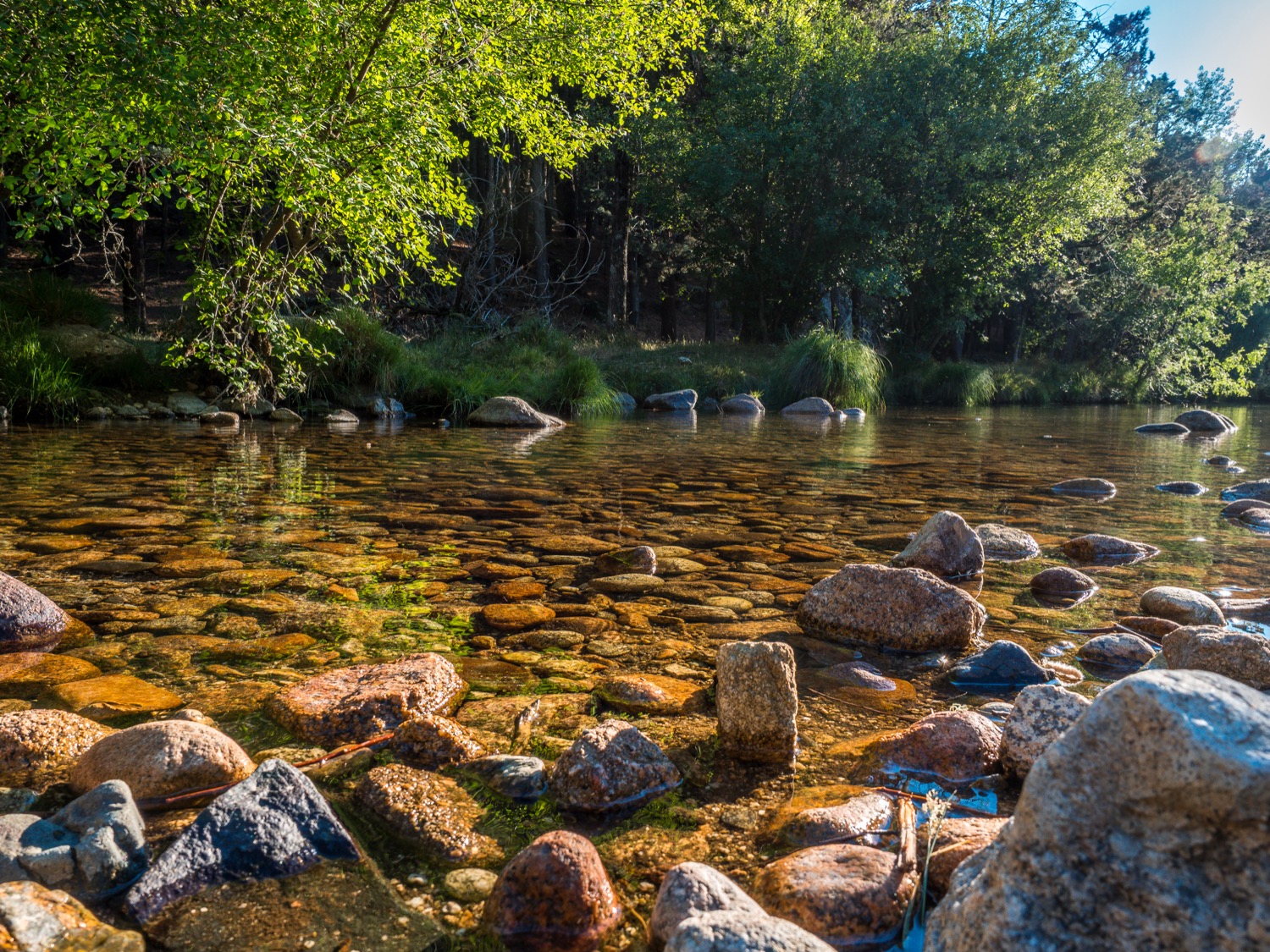 Río Manzanares en la Pedriza