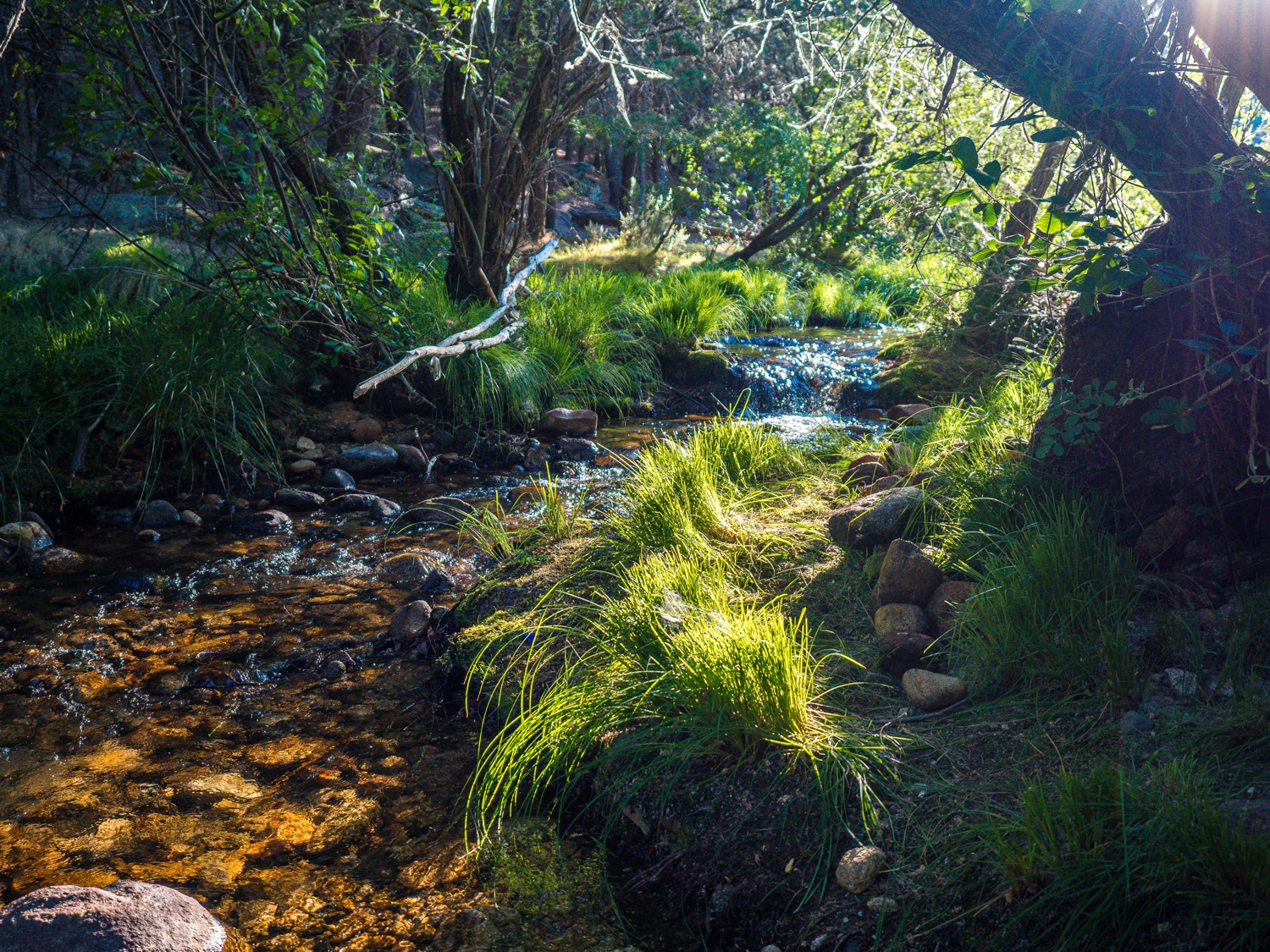 Río Manzanares a su paso por la Pedriza