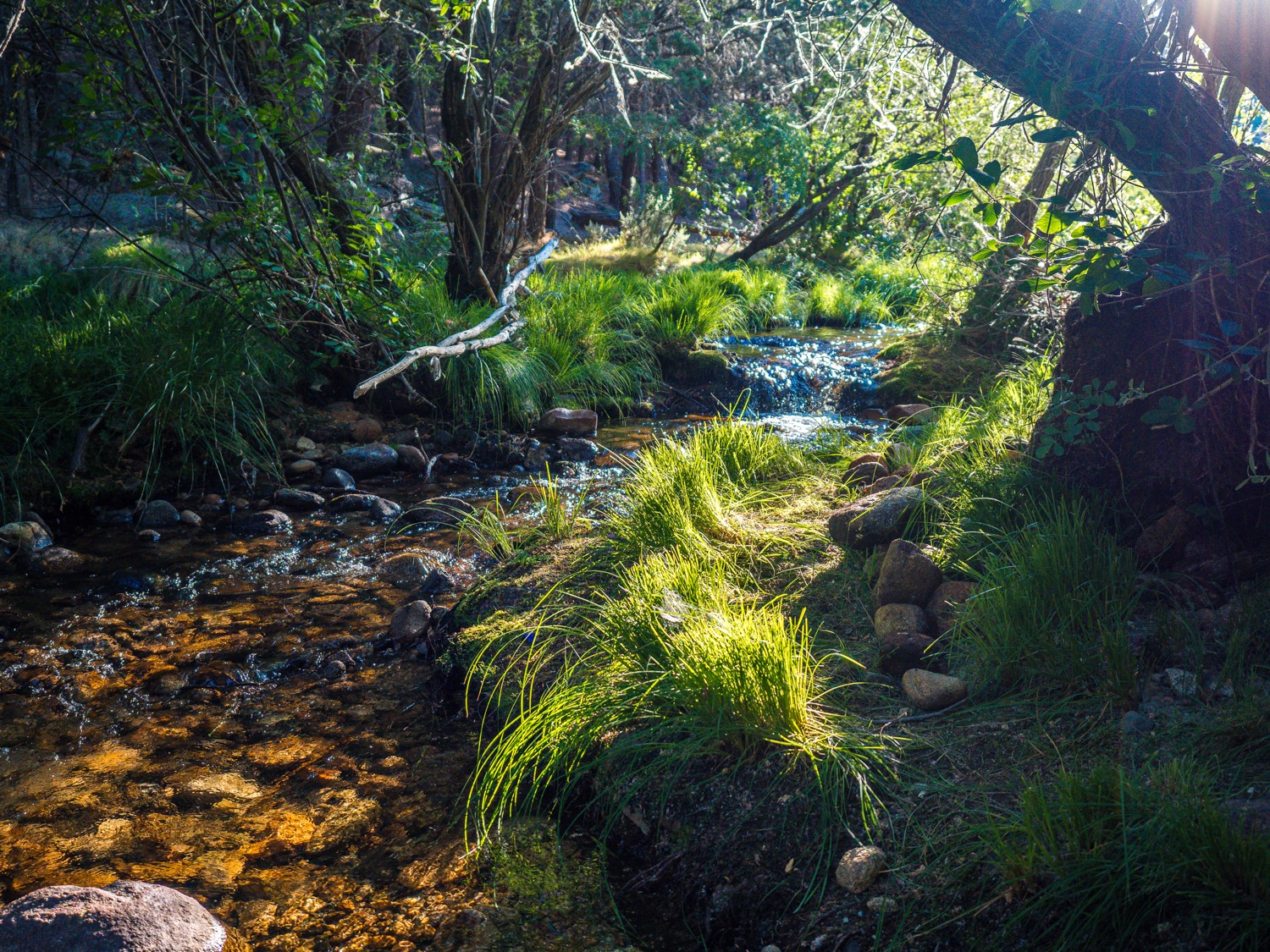 Río Manzanares a su paso por la Pedriza