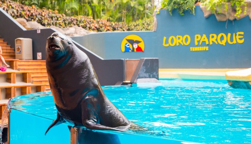 loro parque