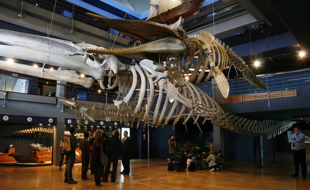 museo maritimo del cantabrico