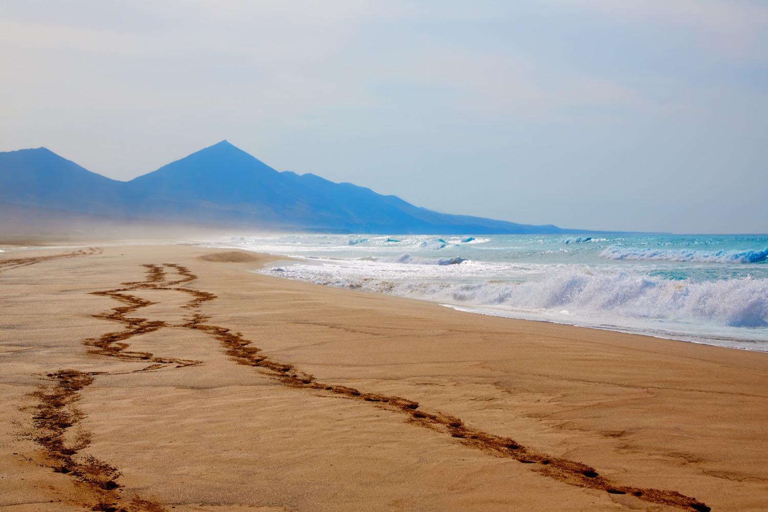 Arena de Playa Cofete