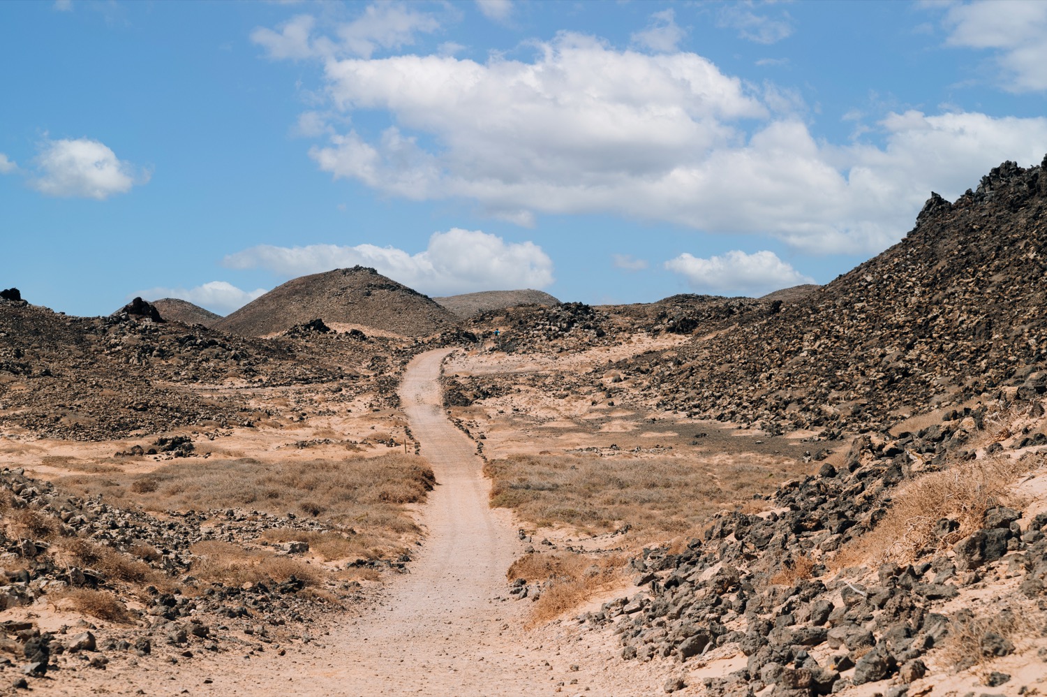 Sendero en Isla de Lobos