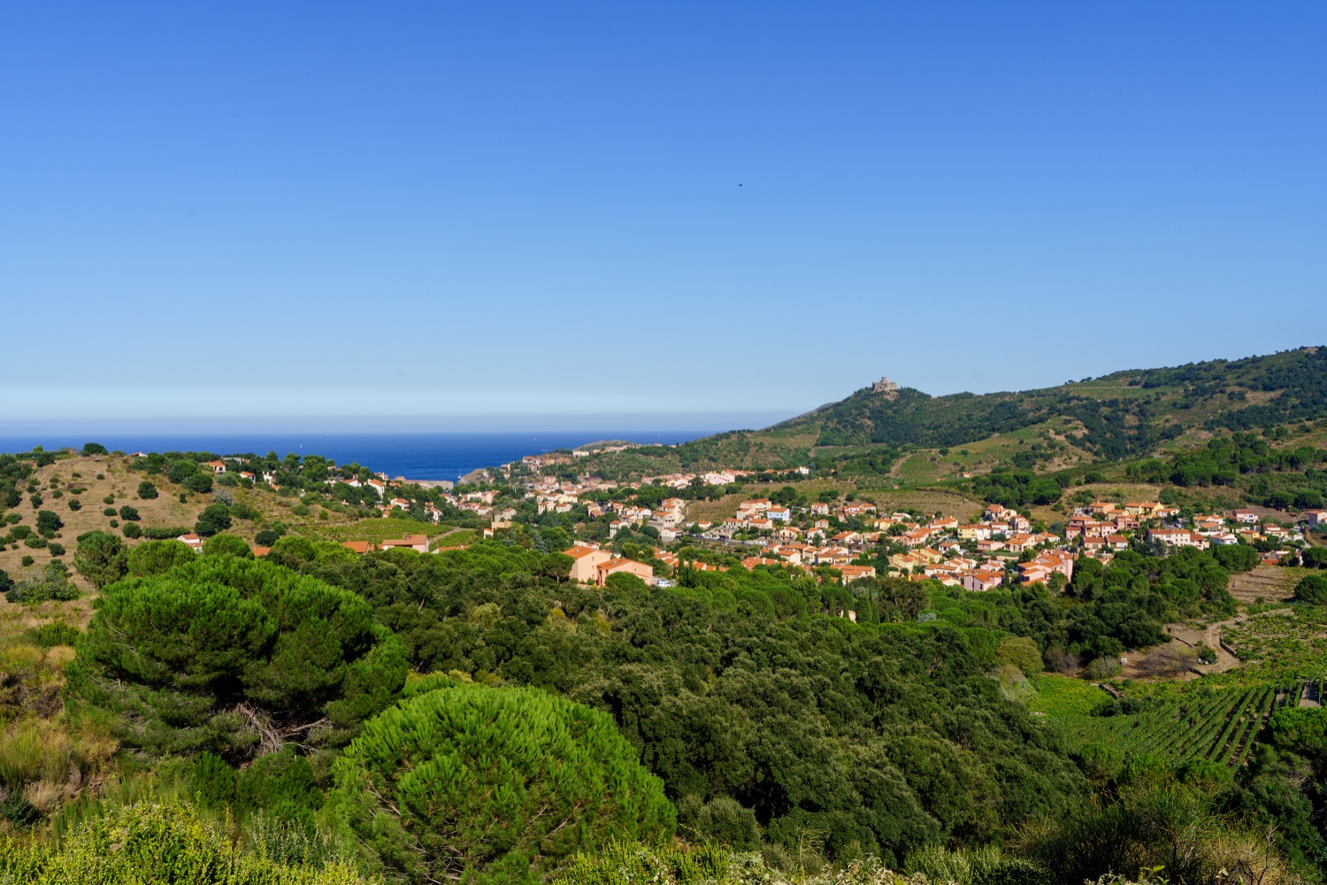 Panorámica de Colliure