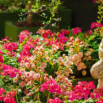 Jardín Botánico Cap Roig