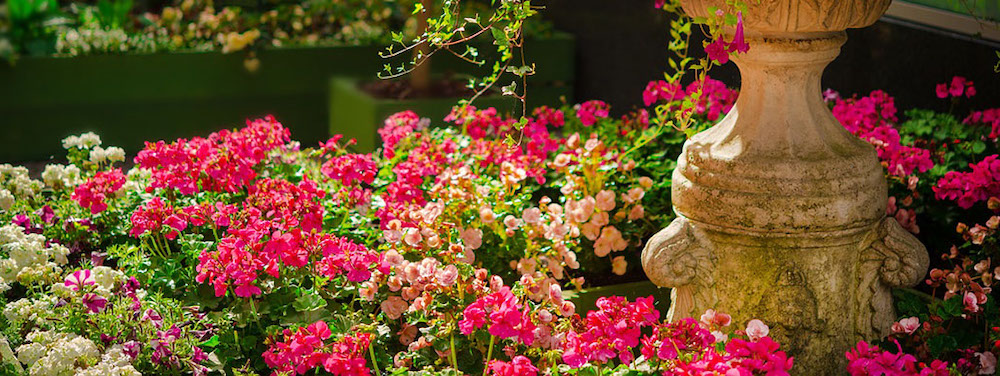 Jardin Botanico Cap Roig