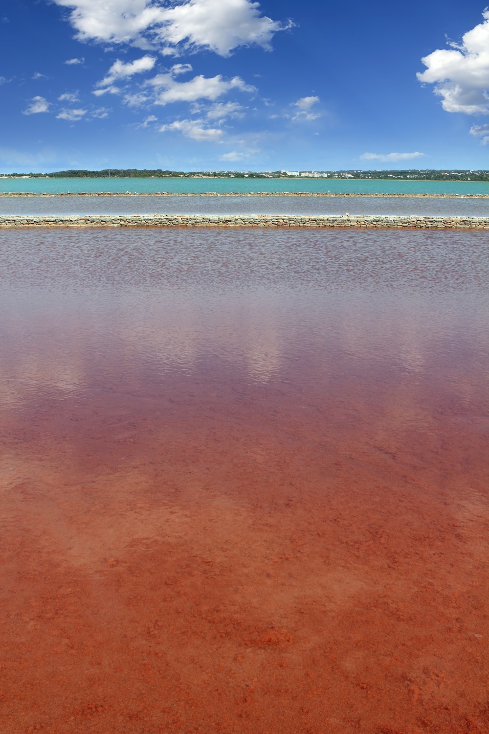 Salinas cerca de Ses Salines