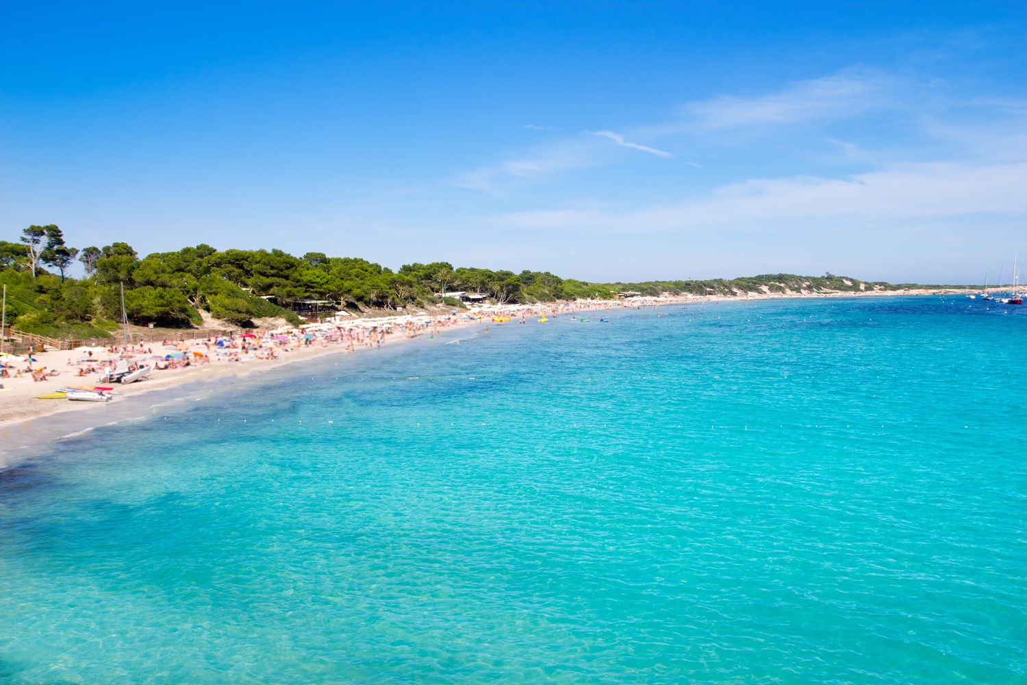 Playa de Ses Salines