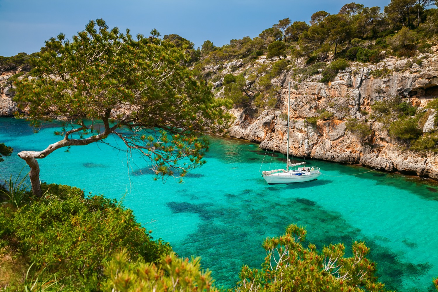 Barco en Cala Pi