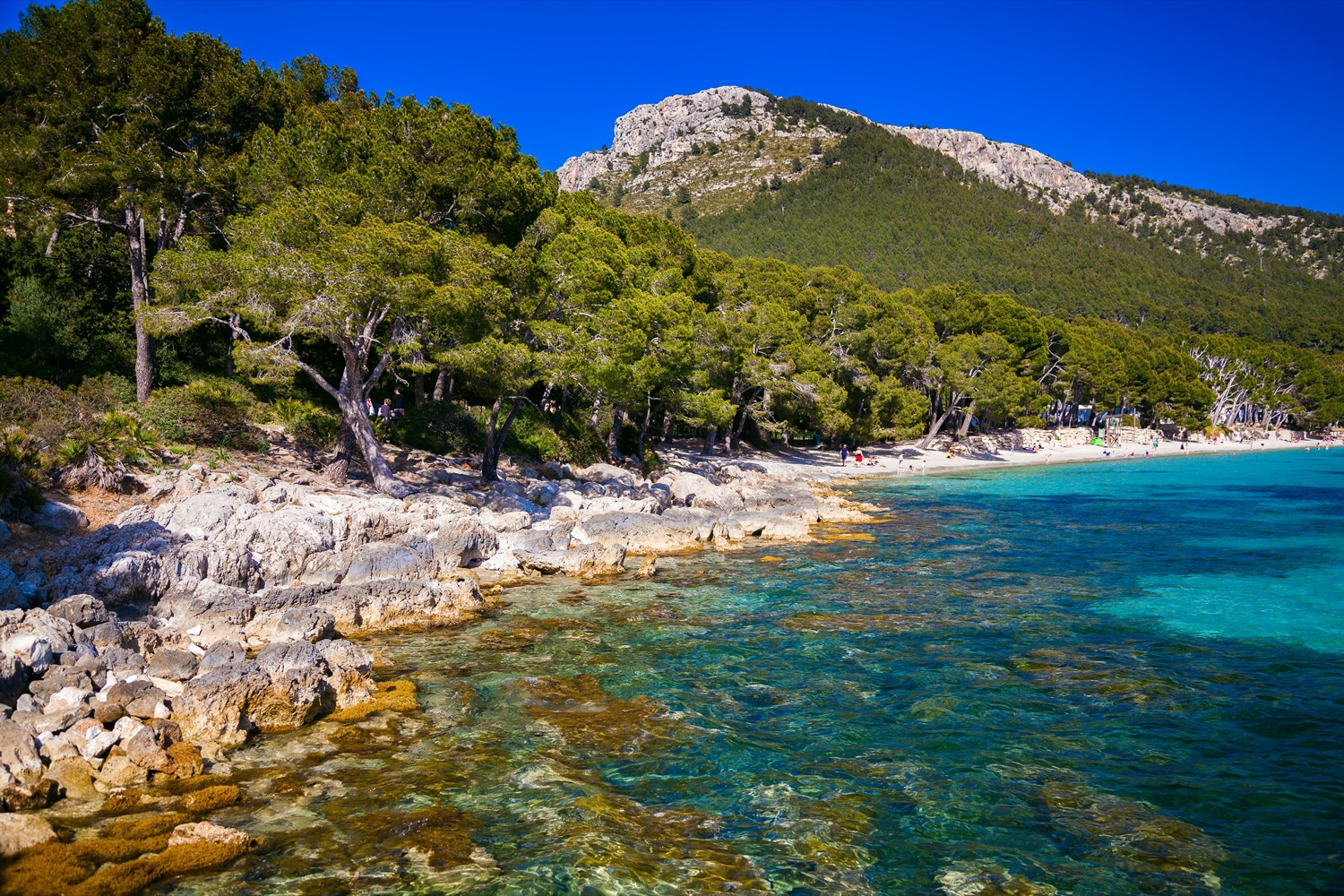 Playa de cala pi