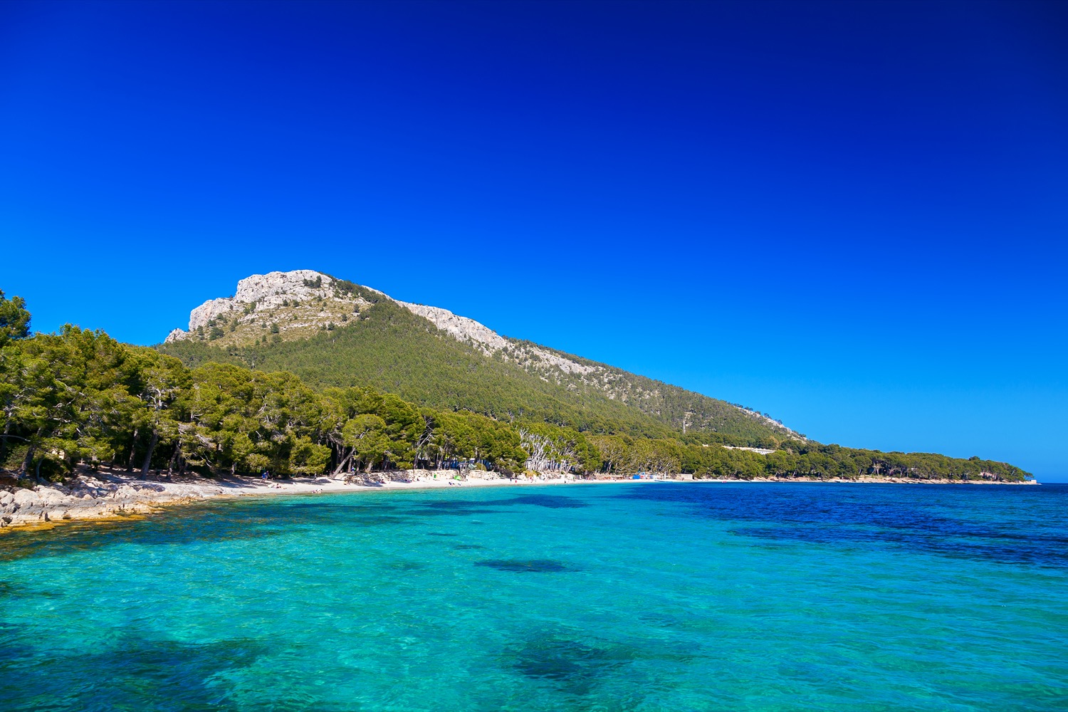 Paisaje de cala pi