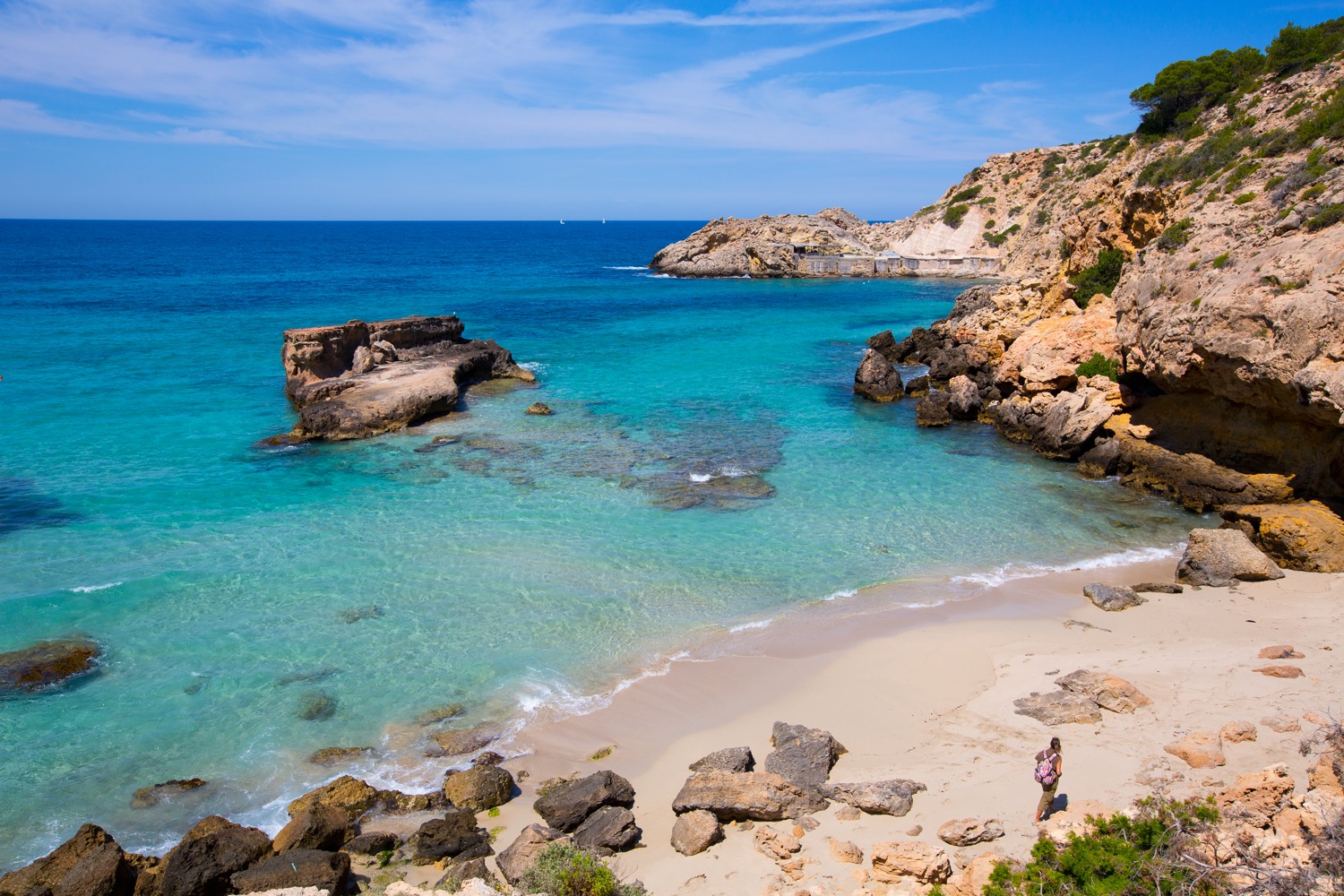 Cala Tarida desde arriba