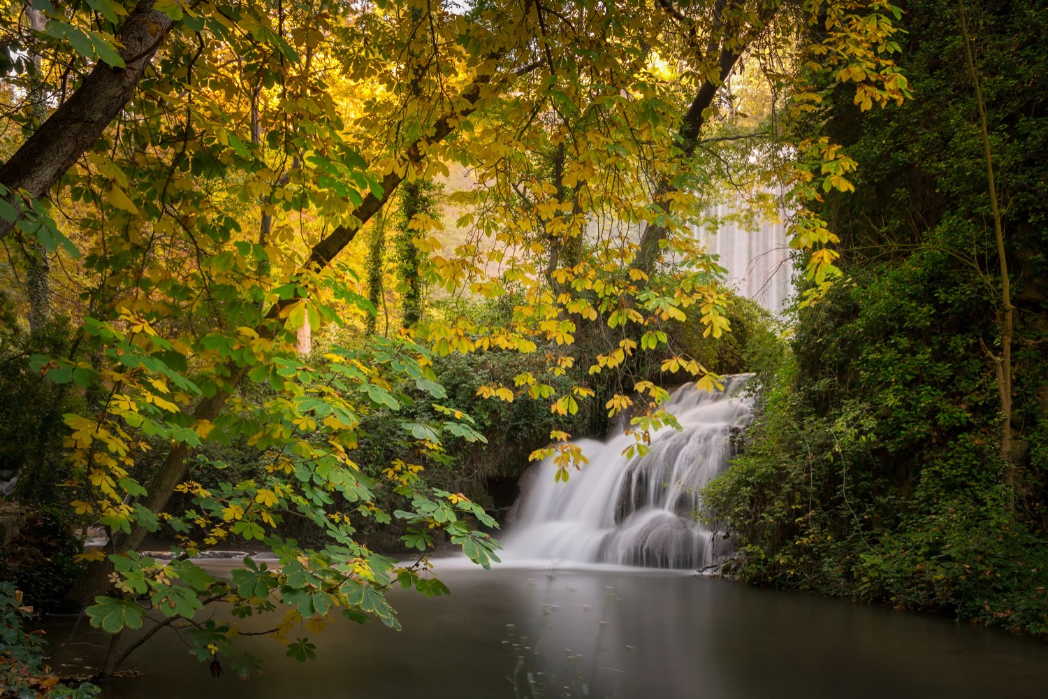 Parque natural del Monasterio de Piedra en Zaragoza