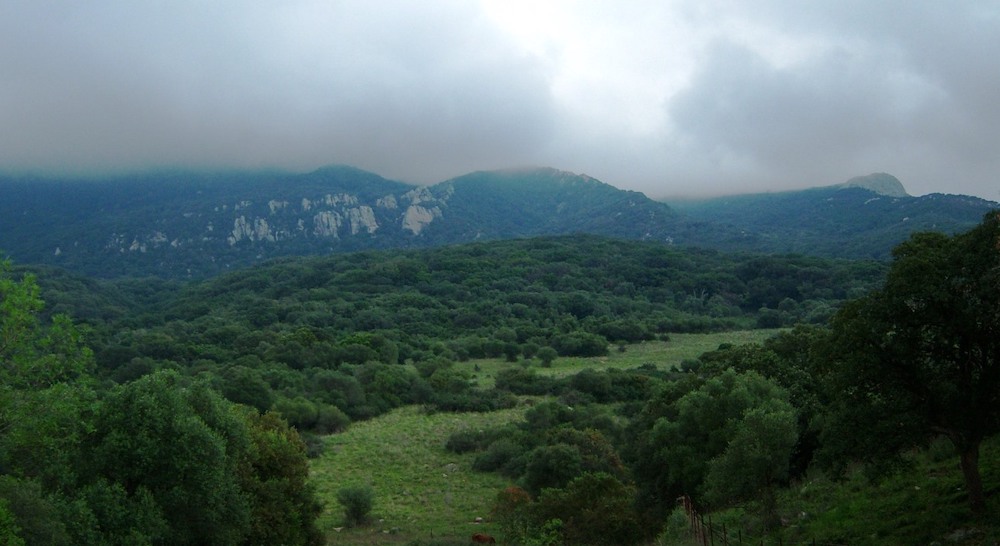 Parque Natural de los Alcornocales