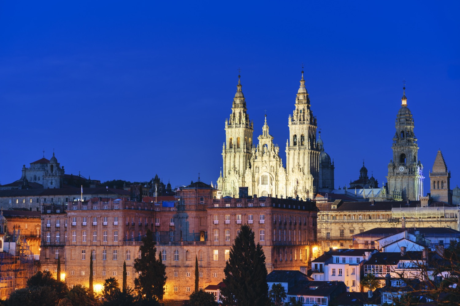 catedral de santiago por la noche