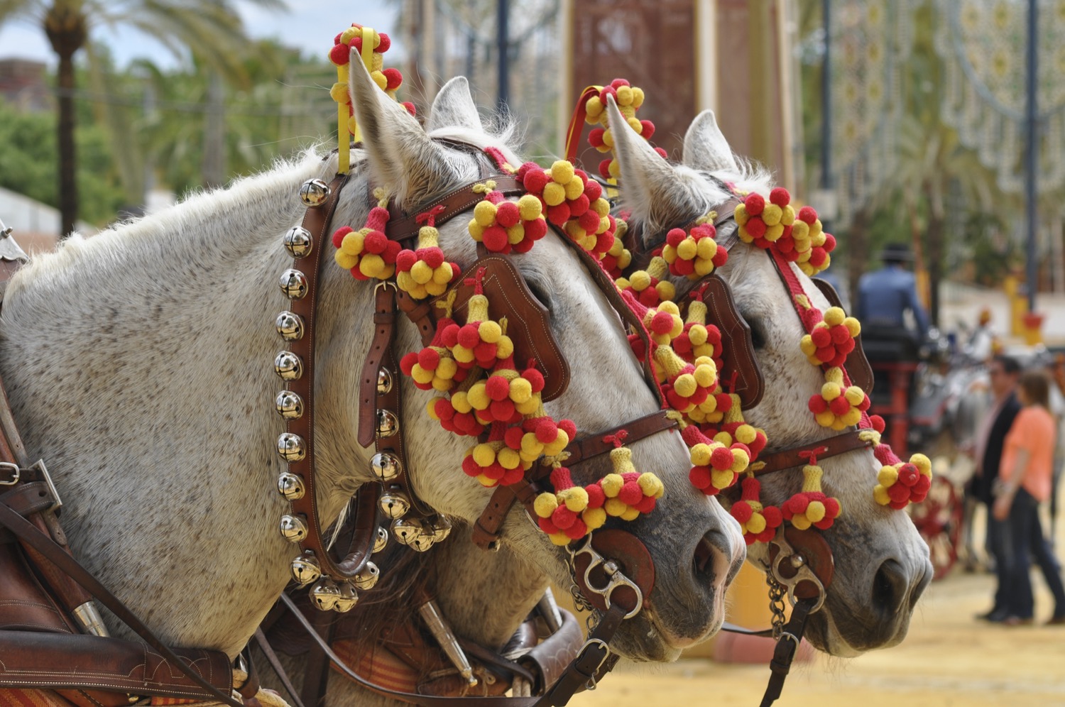 feria del caballo en jerez de la frontera