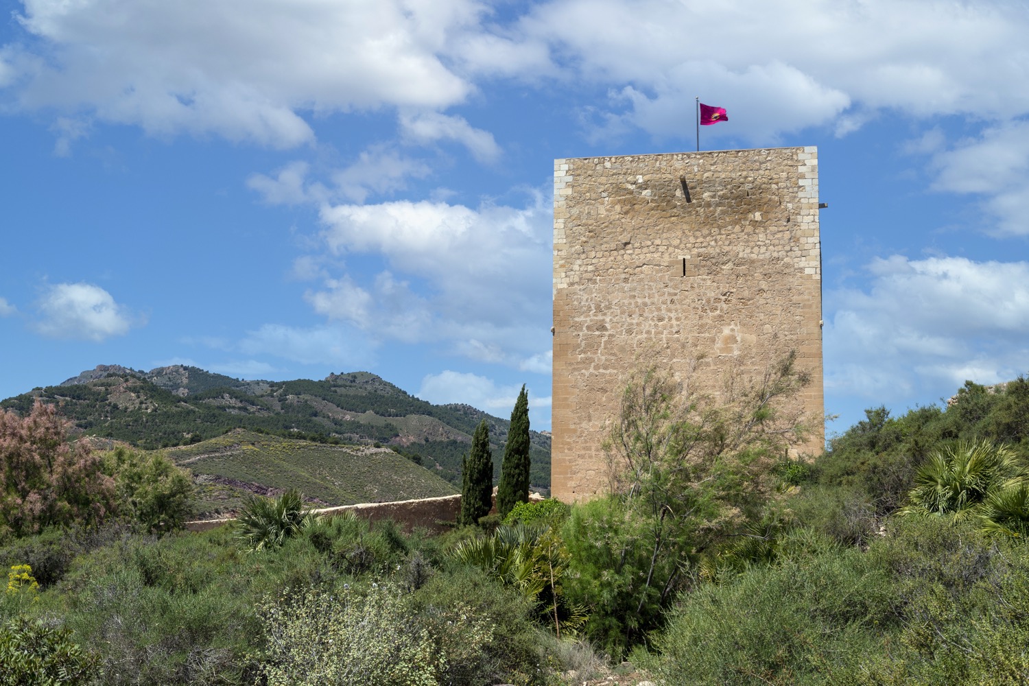 Torre Medieval de Lorca