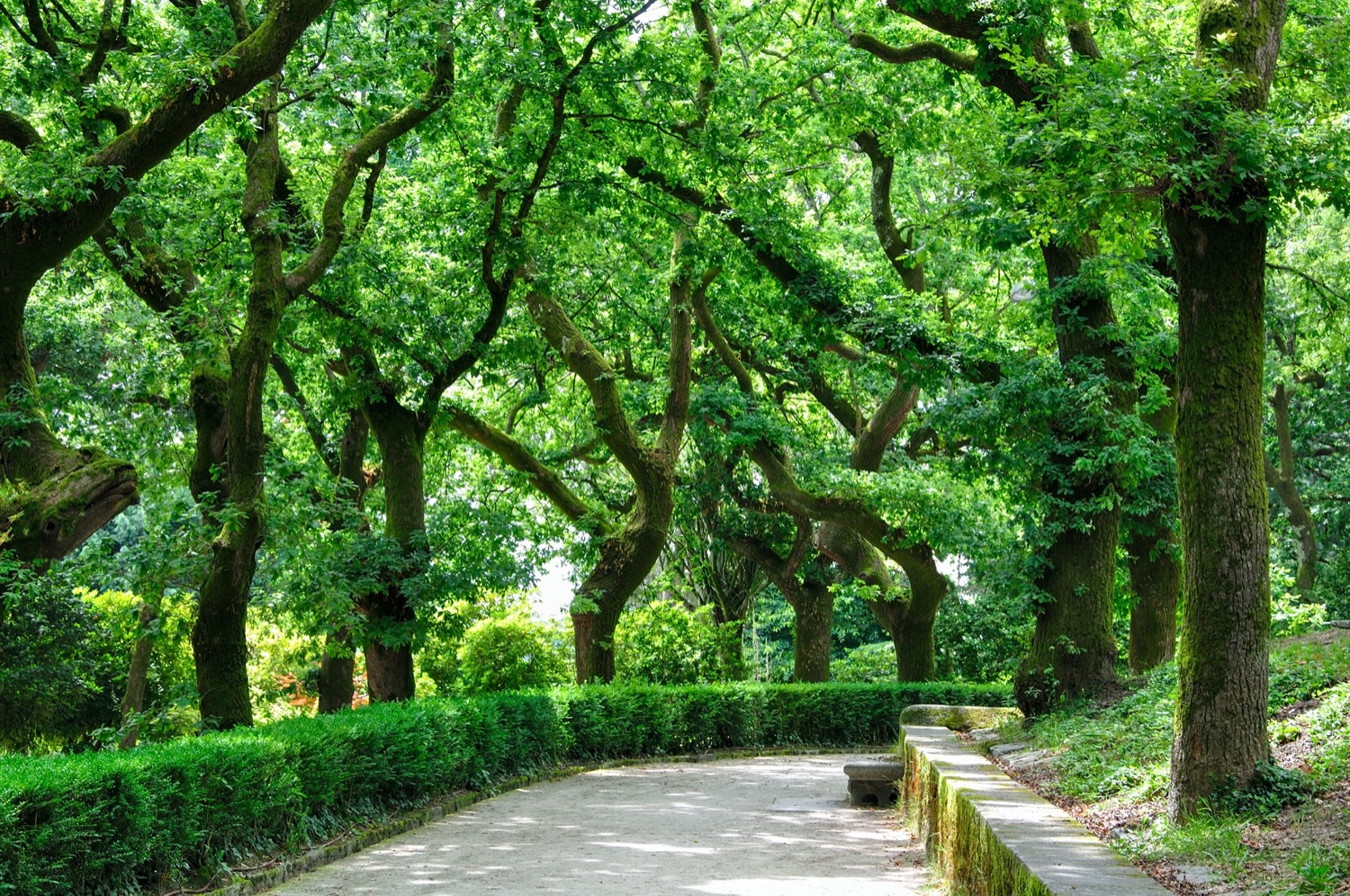 Parque Alameda en Santiago de Compostela