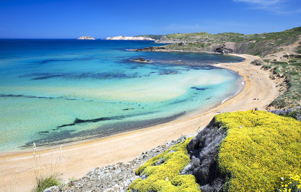 tarifa