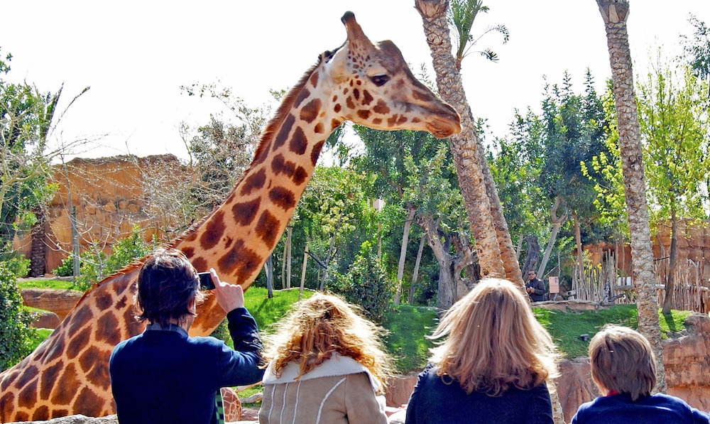 zoo de jerez