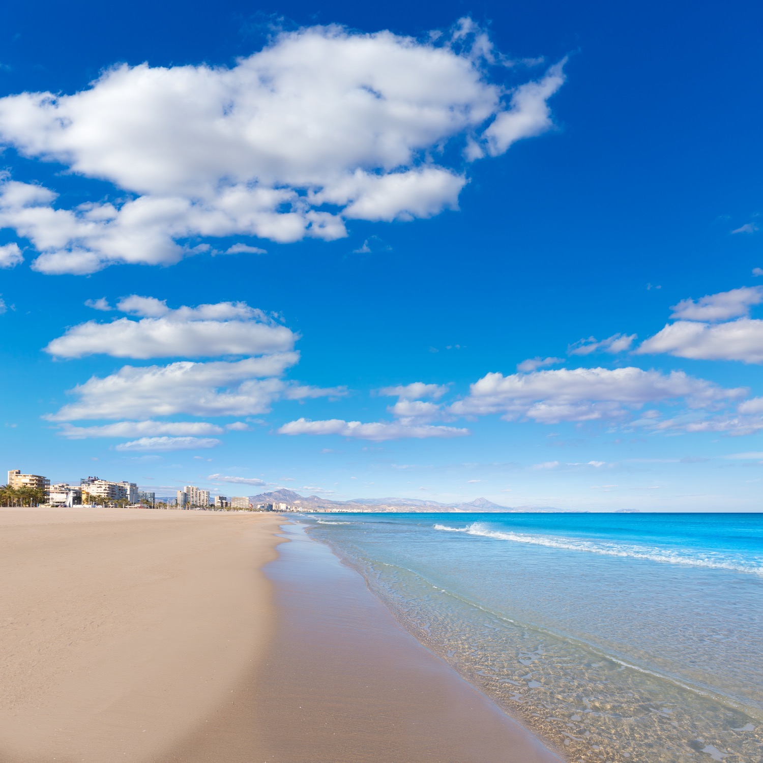 costa de la playa de san juan en alicante