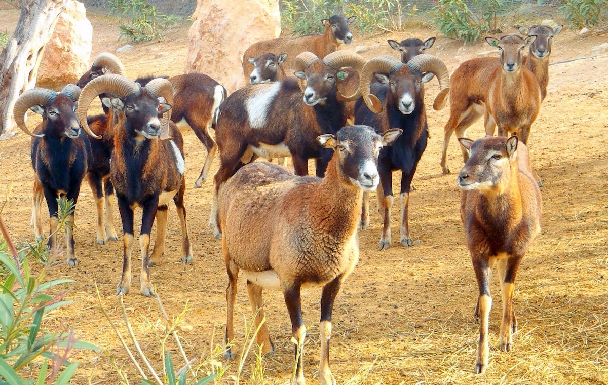 terra natura benidorm