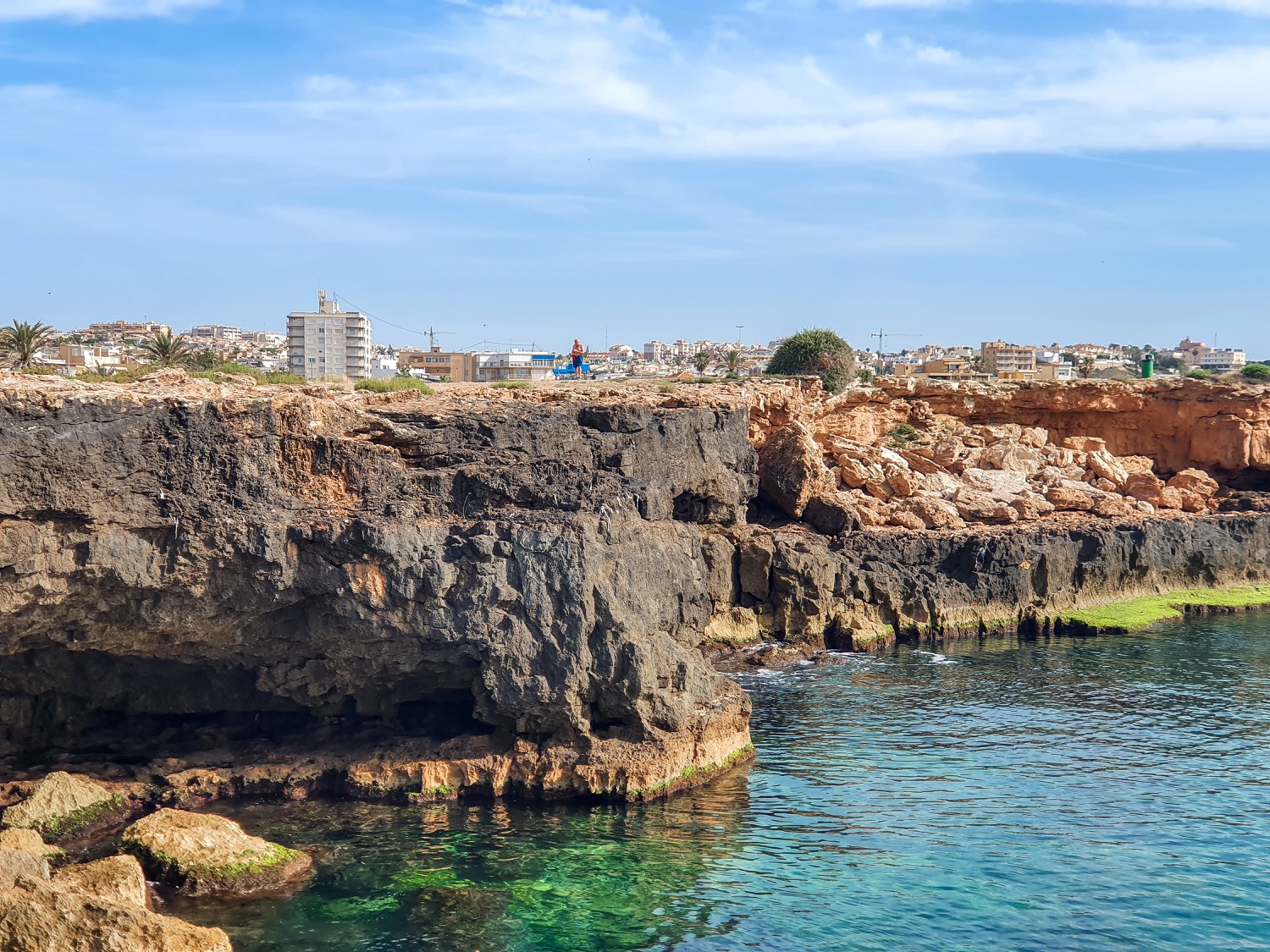 vega baja del segura en torrevieja