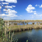 Parque Natural de s'Albufera