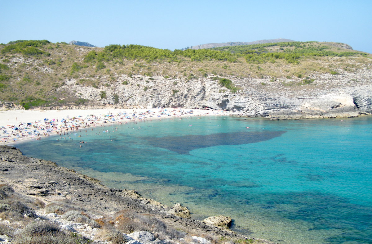 cala torta