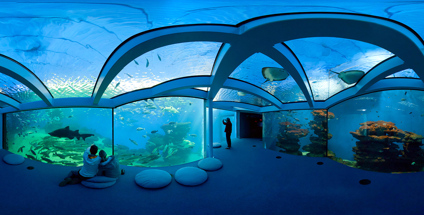 palma aquarium