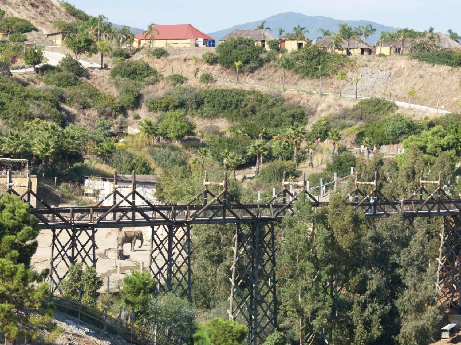 Puente de Selwo Aventura