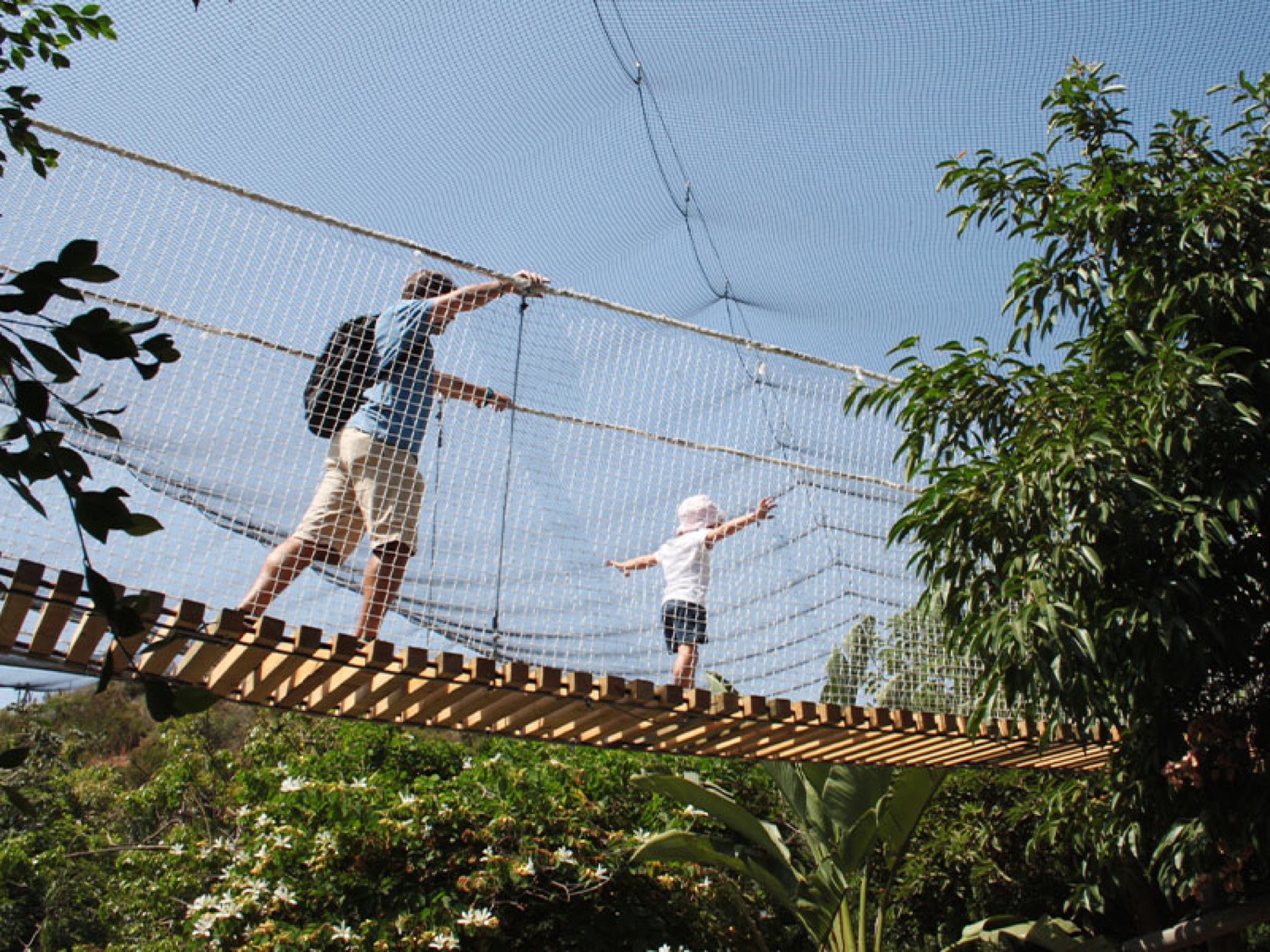 Puente colgante en Selwo Aventura