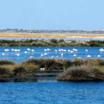 Parque Nacional de Doñana