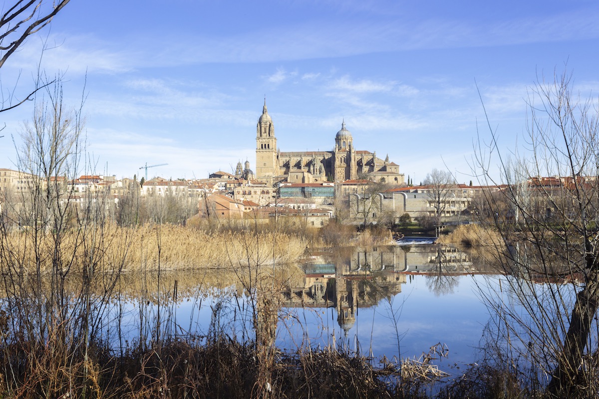 Vista de la catedral de salamanca