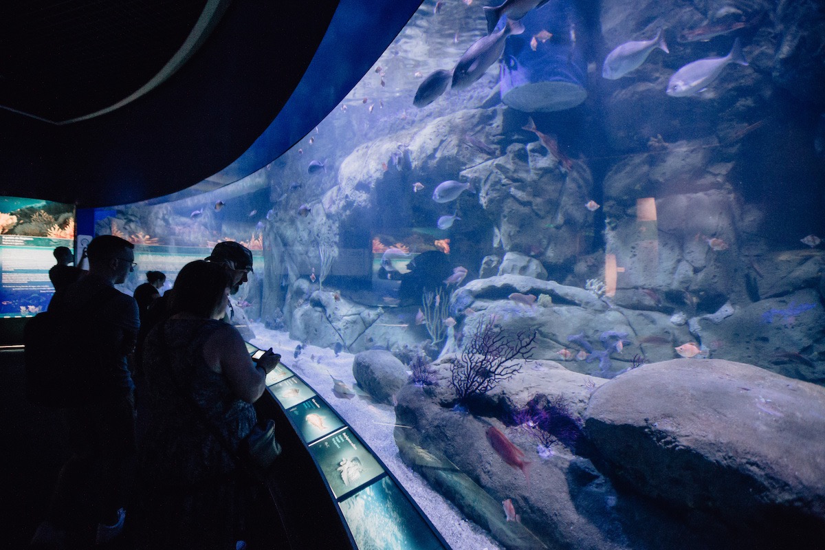 zona mediterraneo oceanografic