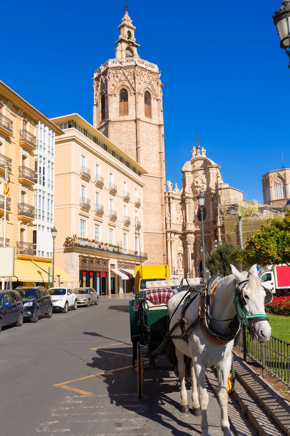 Caballos en El Miguelete