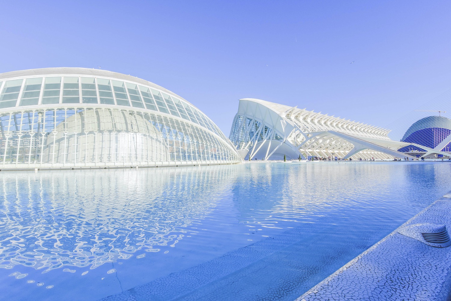 ciudad de las artes y las ciencias en valencia