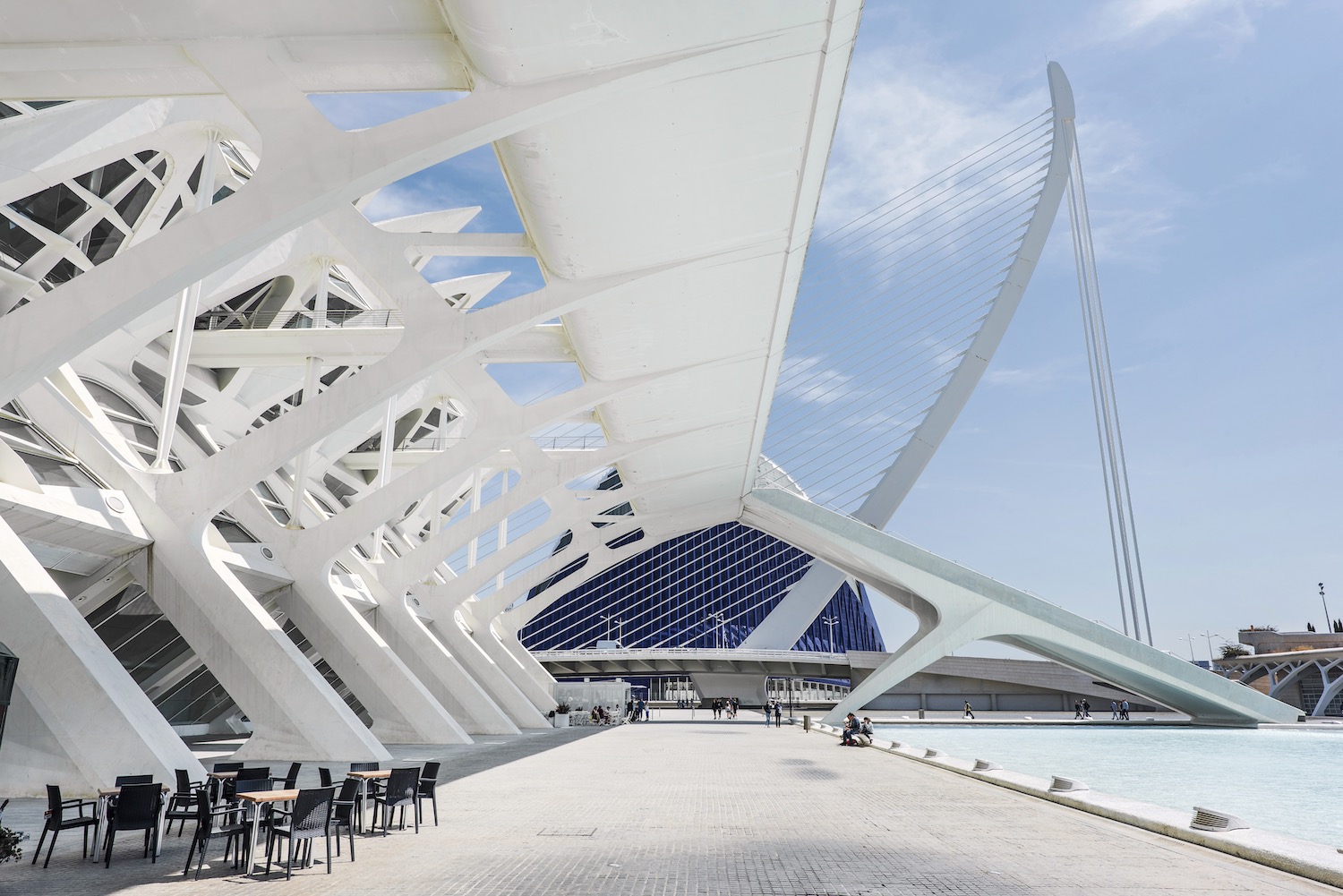 museo de la ciudad de las artes y las ciencias